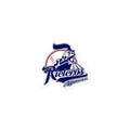 Rieleros de Aguascalientes Bubble free stickers