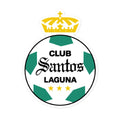 Santos Die cut Bubble free stickers