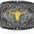 Long Horn Bull